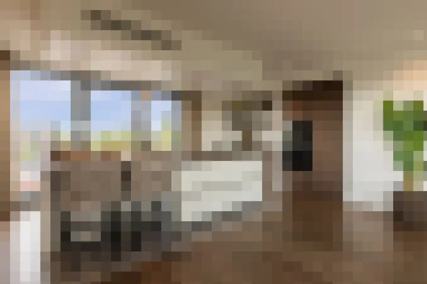 Europaplein 65 Elst thumbnail 30