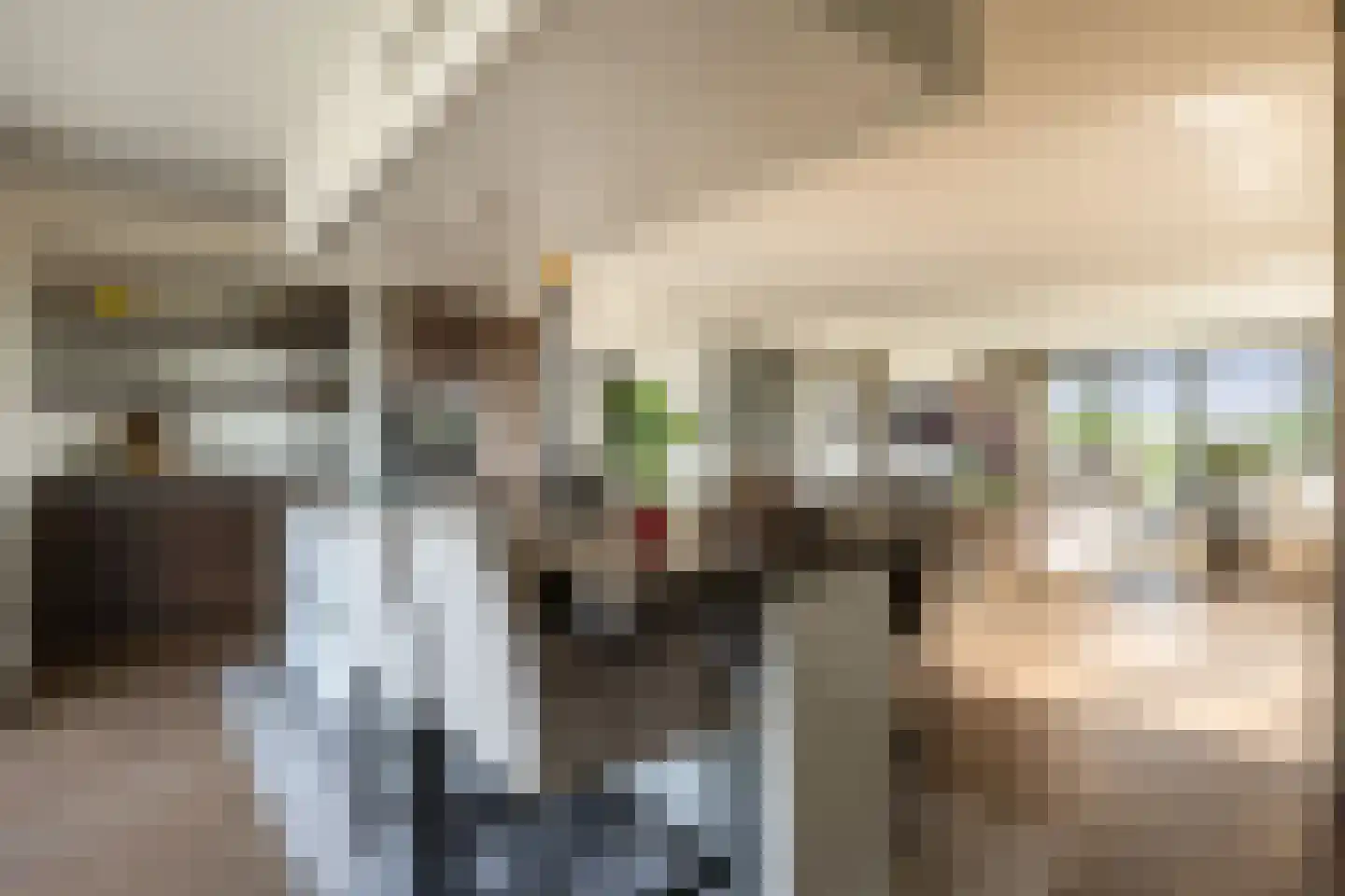 Europaplein 65 Elst thumbnail 31