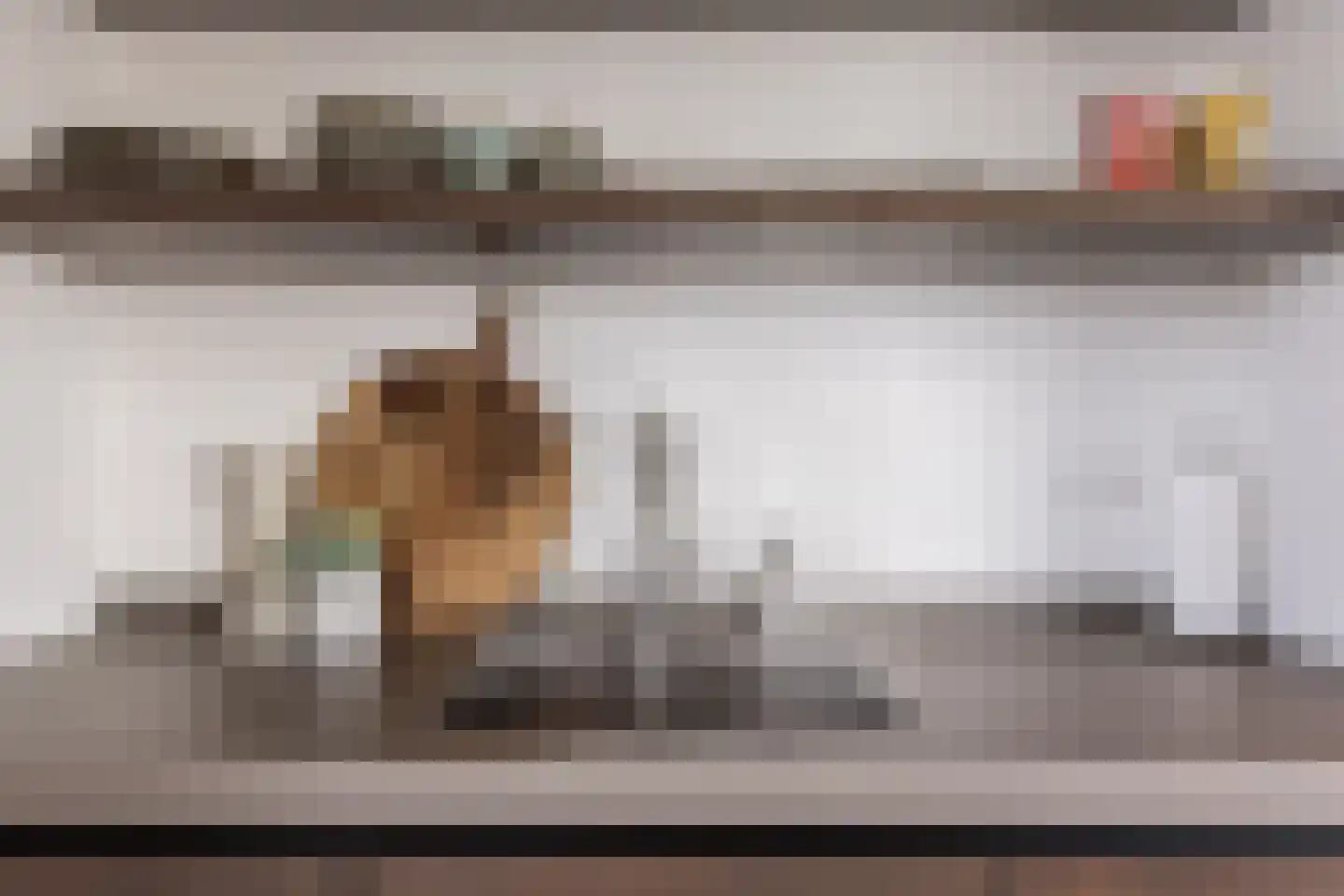 Europaplein 65 Elst thumbnail 32