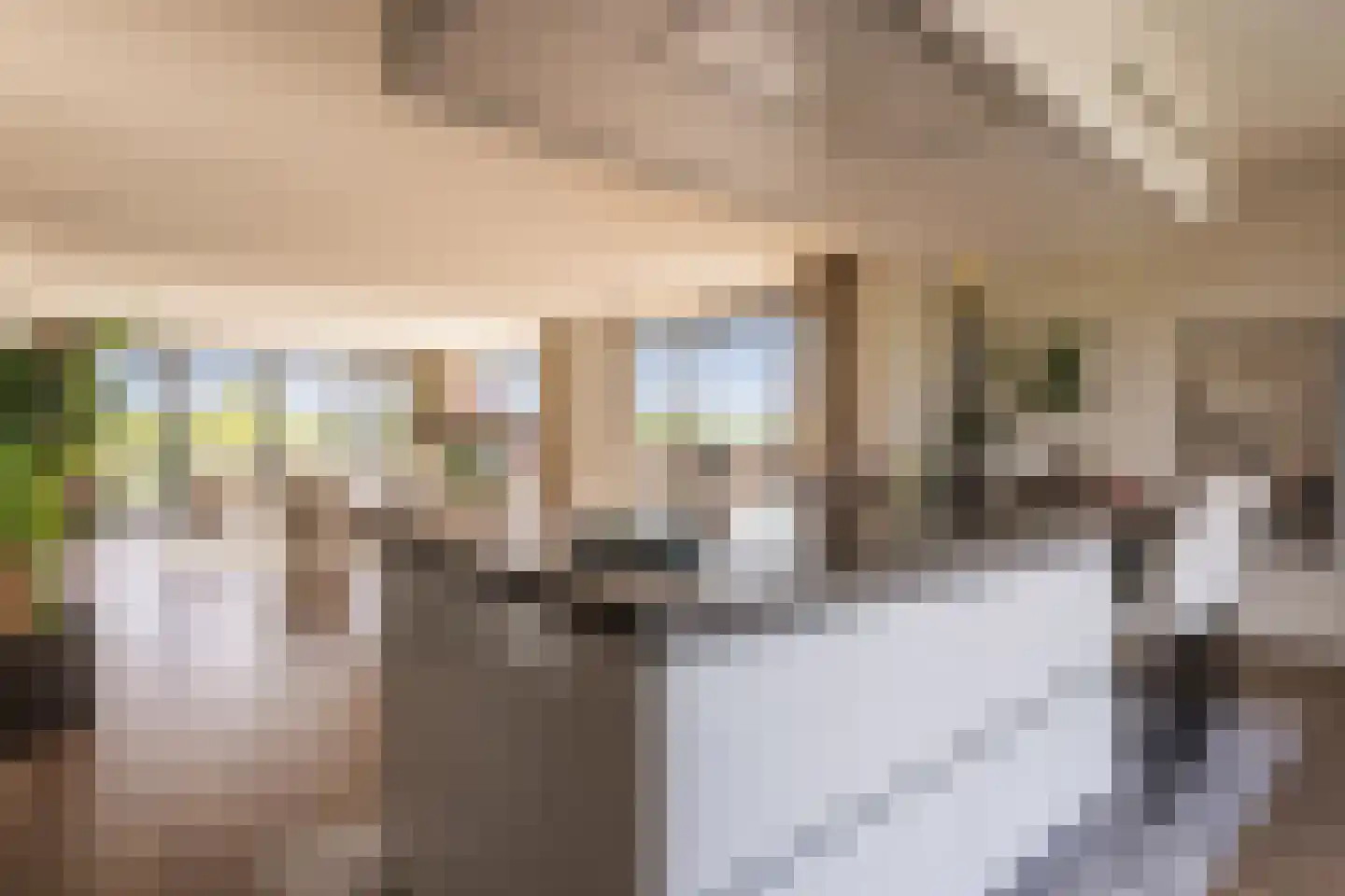 Europaplein 65 Elst thumbnail 35