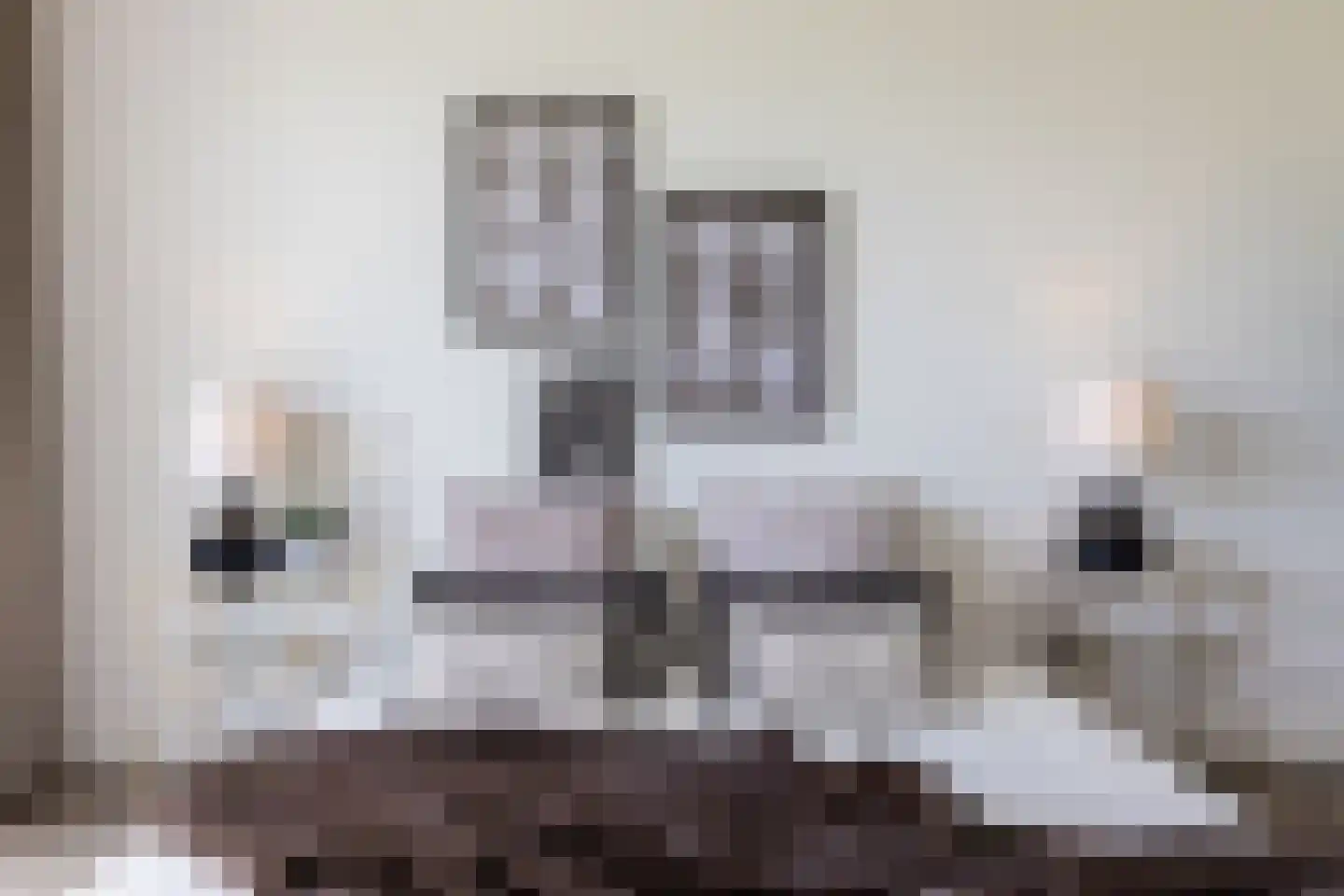 Europaplein 65 Elst thumbnail 38