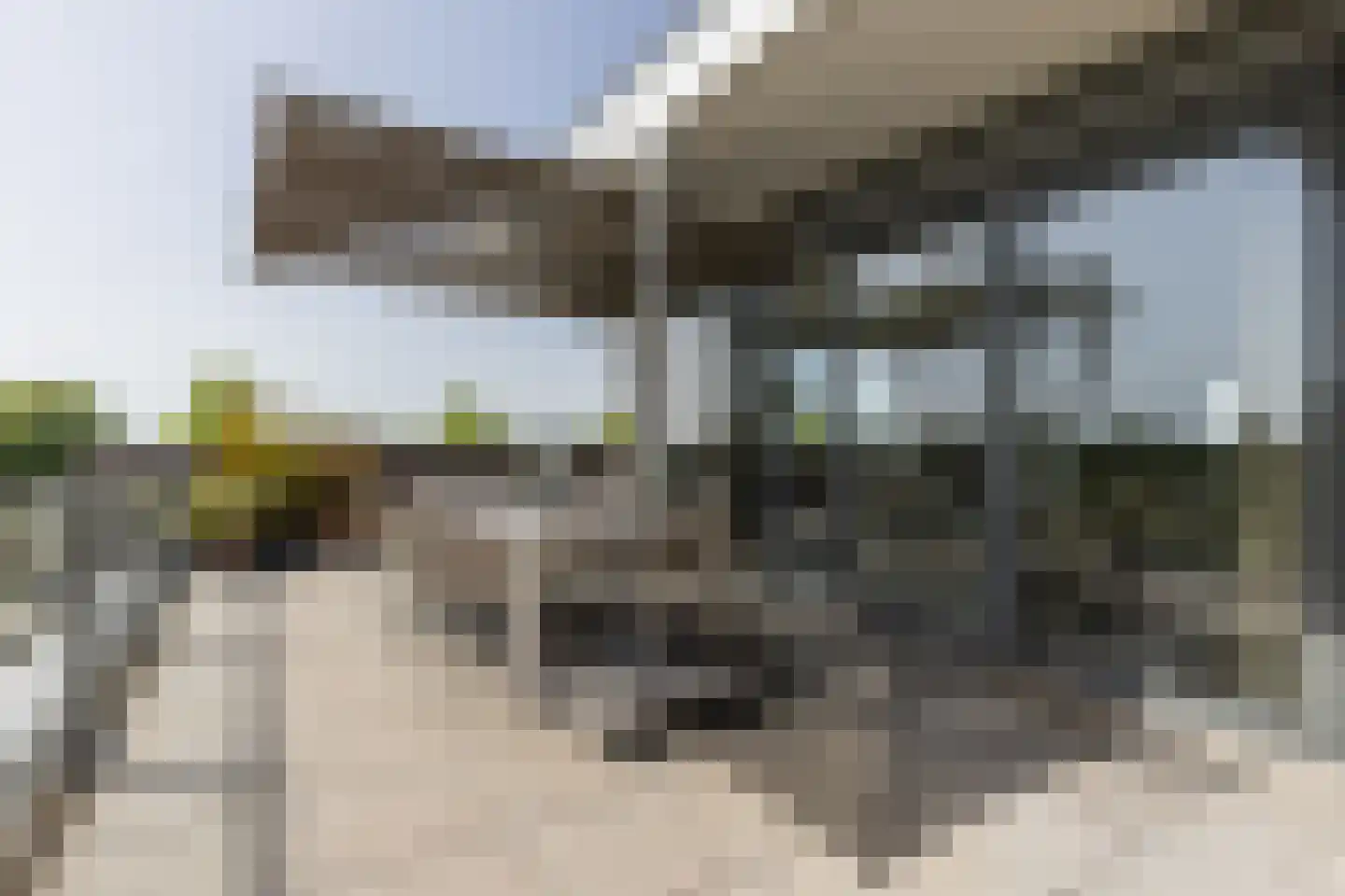 Europaplein 65 Elst thumbnail 4