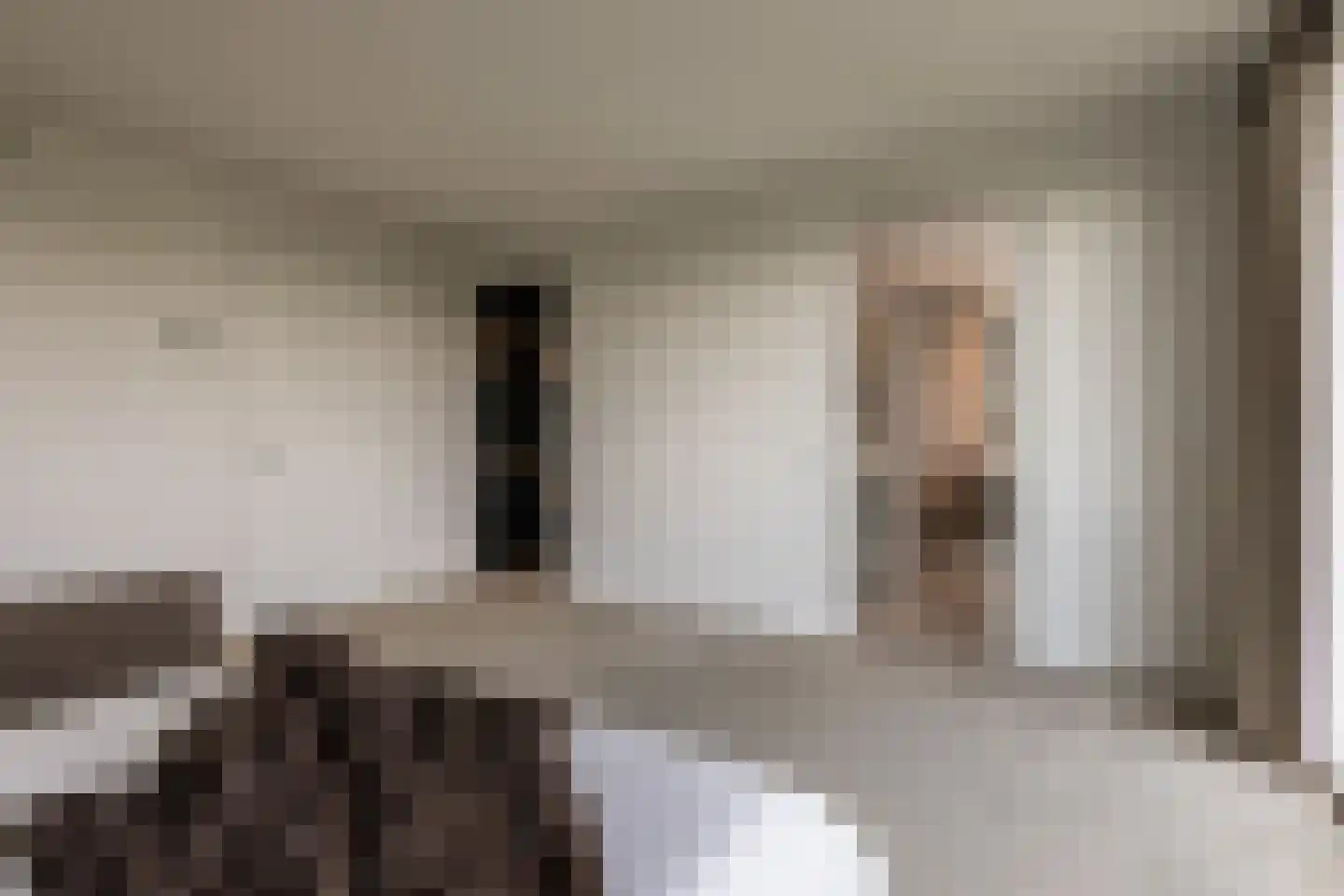 Europaplein 65 Elst thumbnail 41