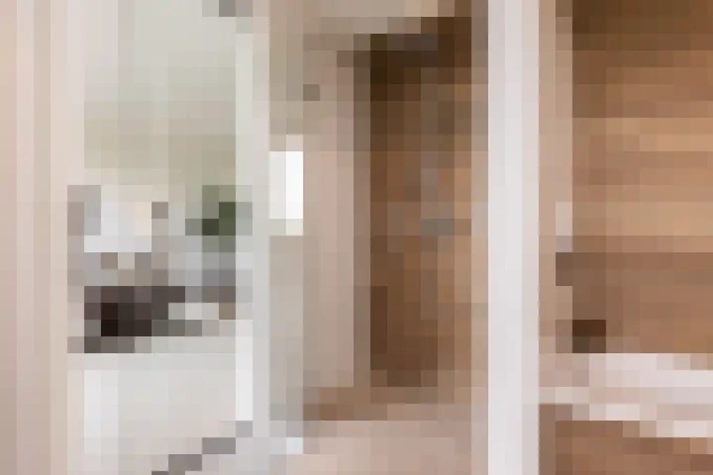 Europaplein 65 Elst thumbnail 43