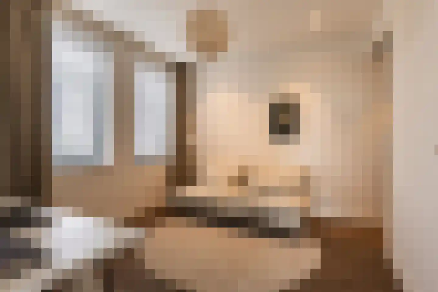 Europaplein 65 Elst thumbnail 45