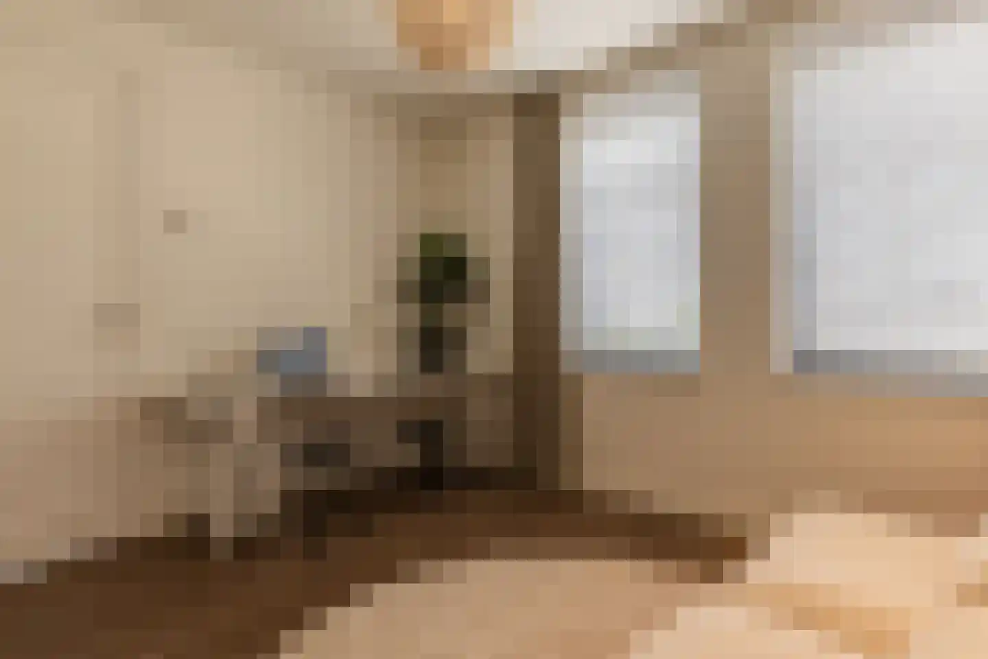 Europaplein 65 Elst thumbnail 46
