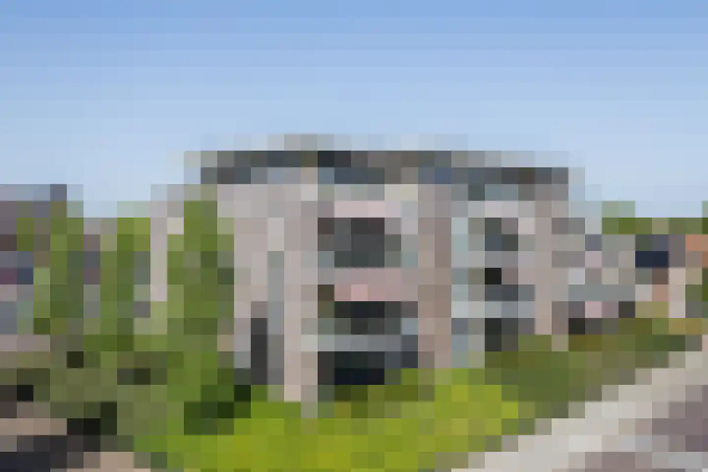 Europaplein 65 Elst thumbnail 5