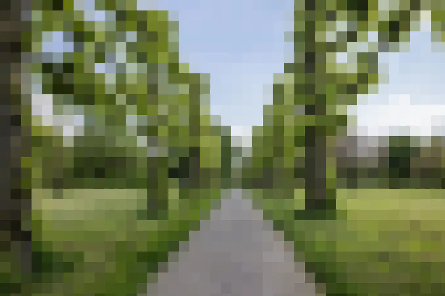 Europaplein 65 Elst thumbnail 56