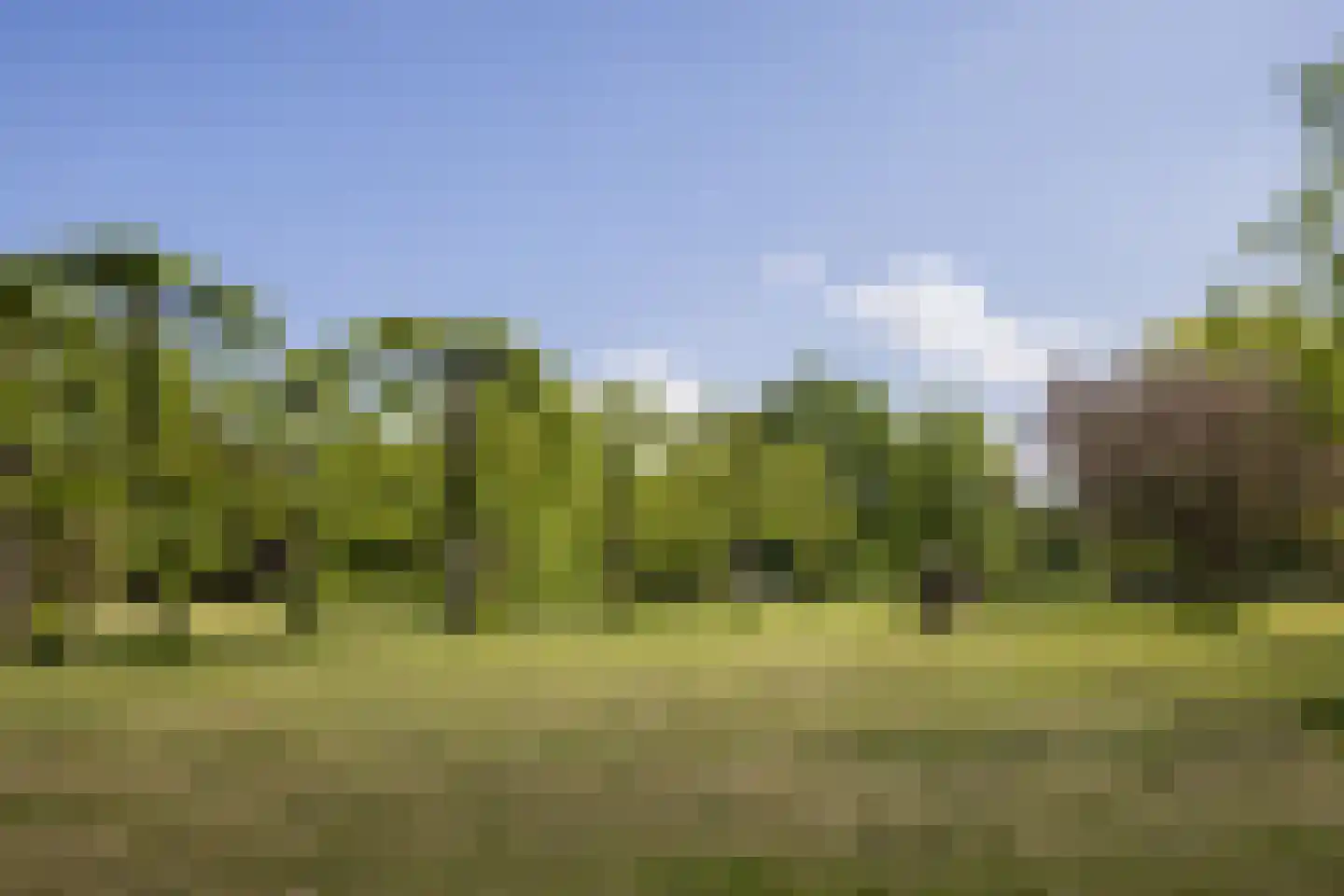 Europaplein 65 Elst thumbnail 58