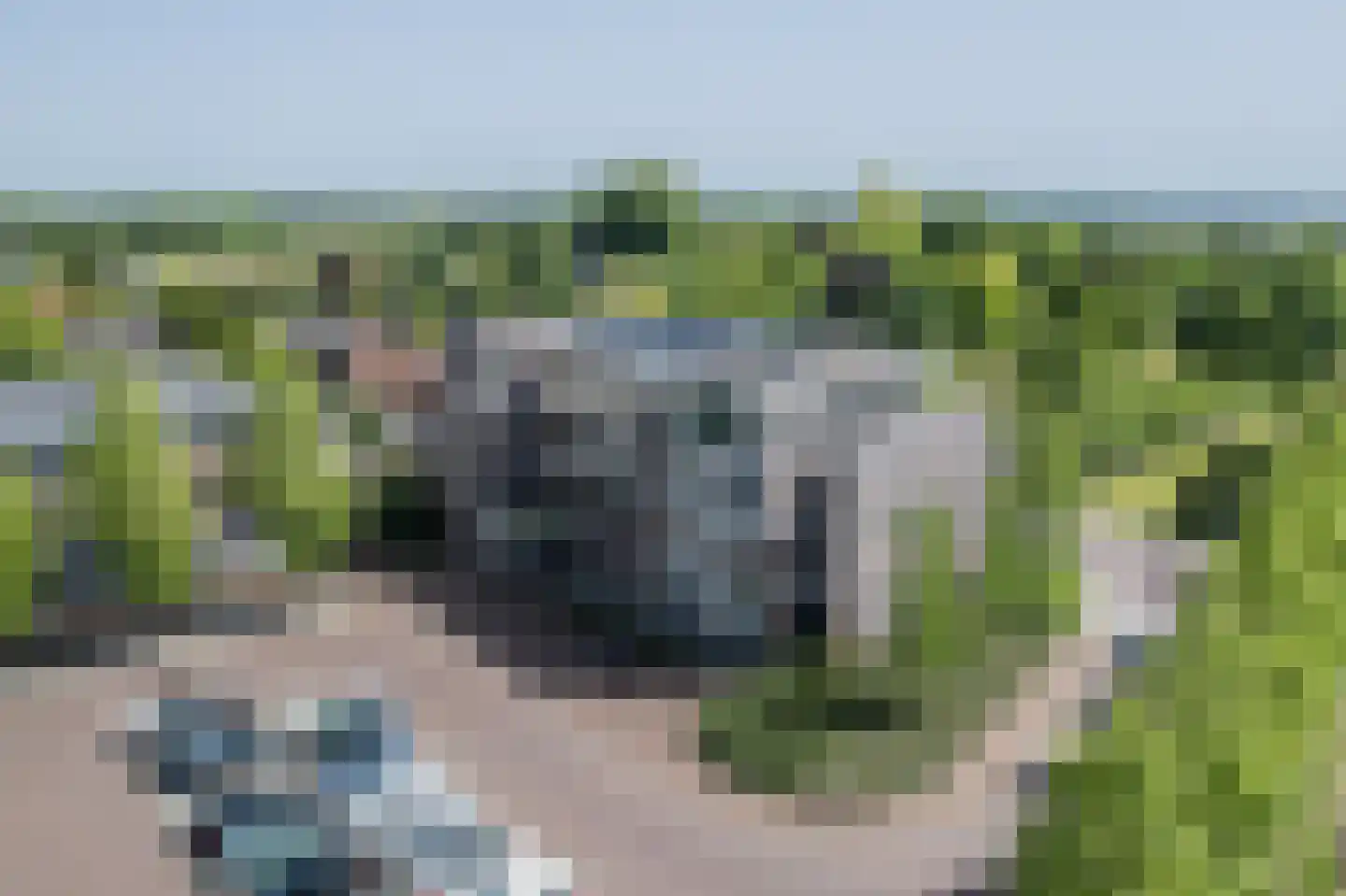 Europaplein 65 Elst thumbnail 59