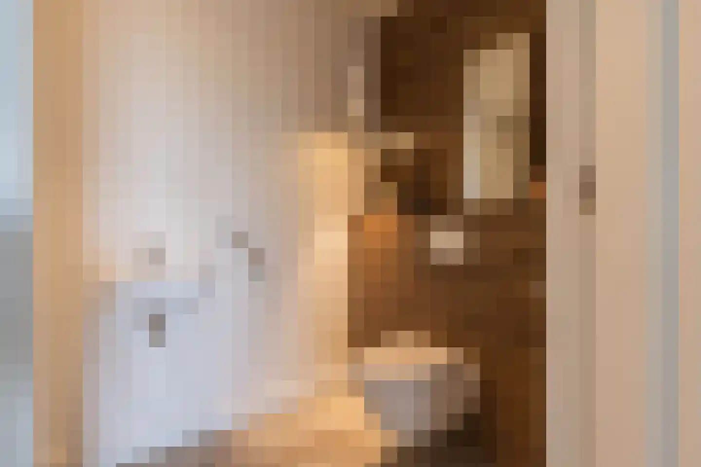 Europaplein 65 Elst thumbnail 8