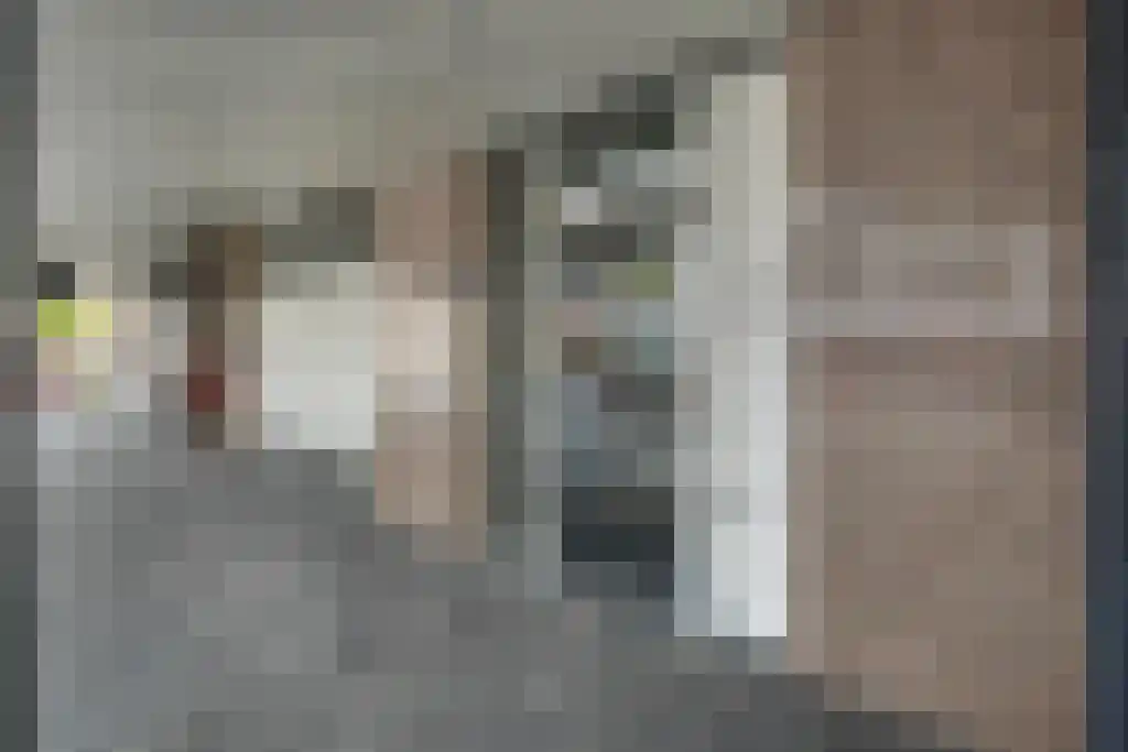 Europaplein 65 Wijchen thumbnail 24