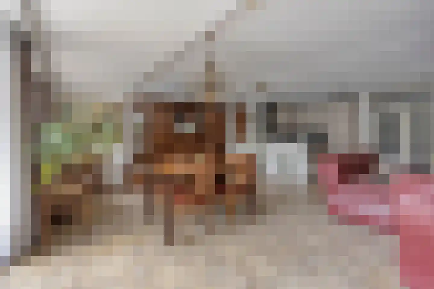 Europaplein 65 Wijchen thumbnail 4