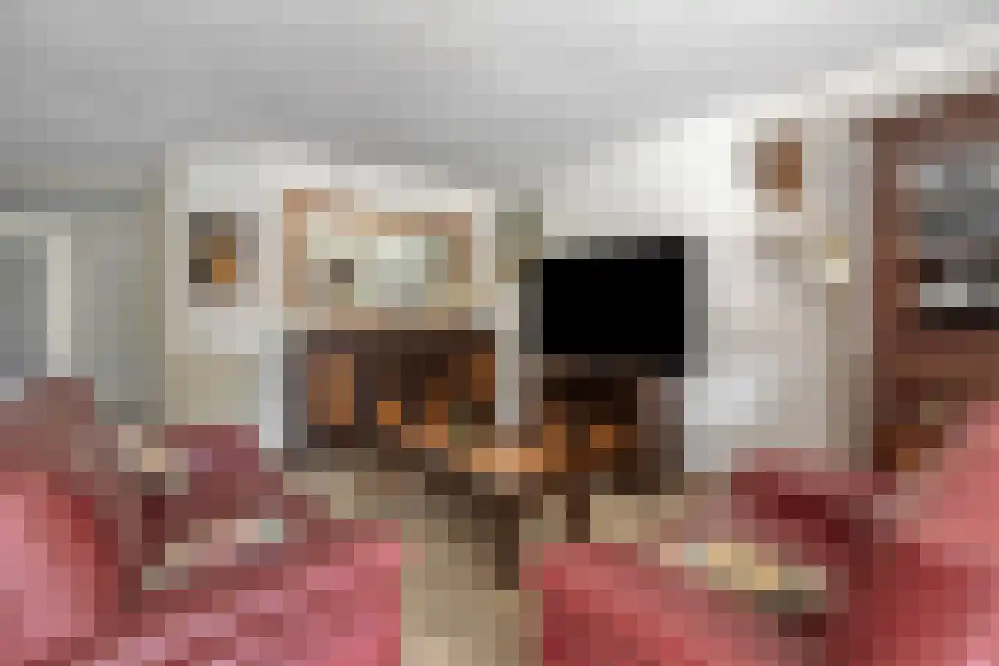 Europaplein 65 Wijchen thumbnail 5