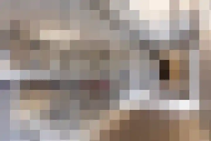 Europaplein 712 Utrecht thumbnail 15