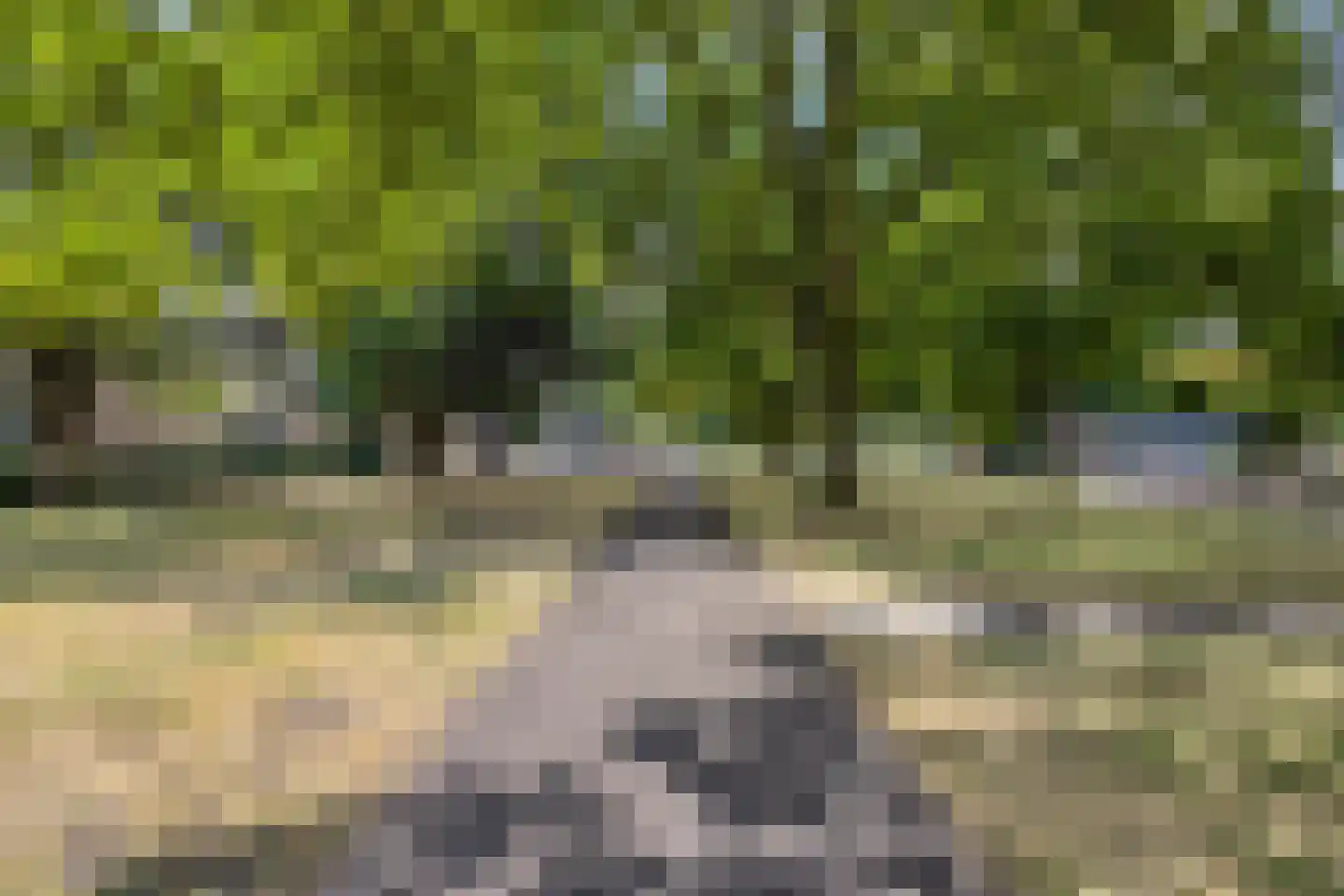 Europaplein 72 Dongen thumbnail 43