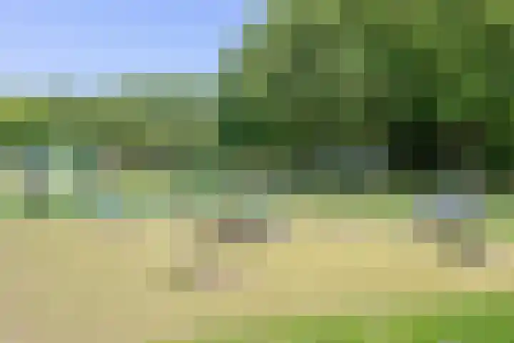 Europaplein 725 Utrecht thumbnail 20