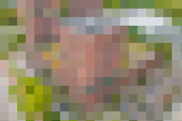 Europaplein 725 Utrecht thumbnail 23