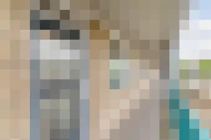 Europaplein 73 Dongen thumbnail 10