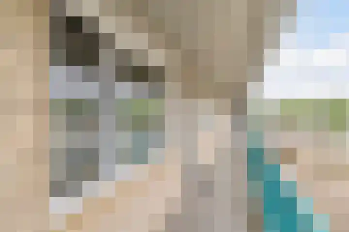 Europaplein 73 Dongen thumbnail 11