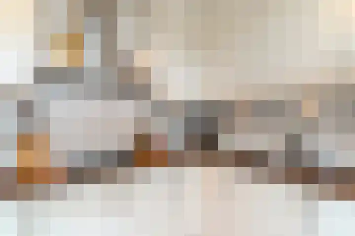 Europaplein 73 Dongen thumbnail 15