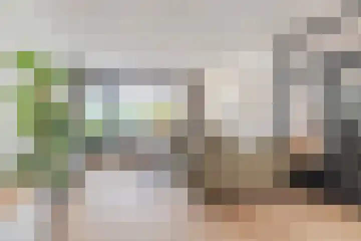 Europaplein 73 Dongen thumbnail 26