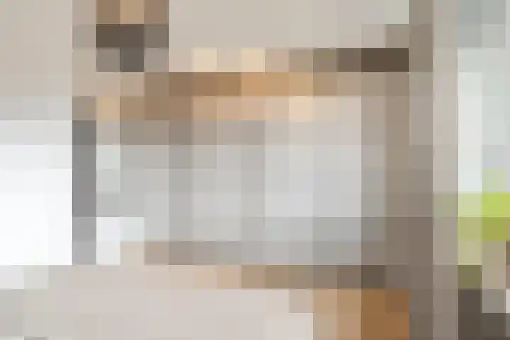 Europaplein 73 Dongen thumbnail 33