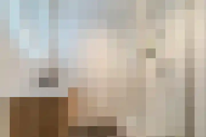 Europaplein 73 Dongen thumbnail 36