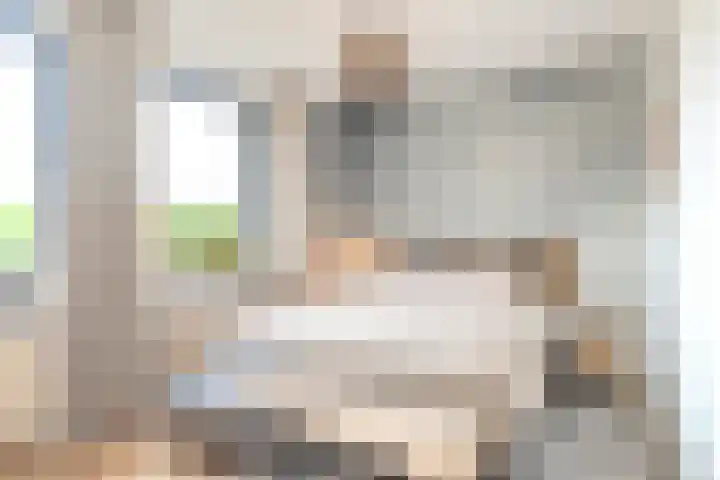 Europaplein 73 Dongen thumbnail 4