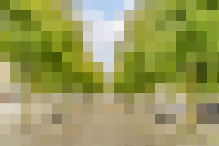 Europaplein 73 Dongen thumbnail 42