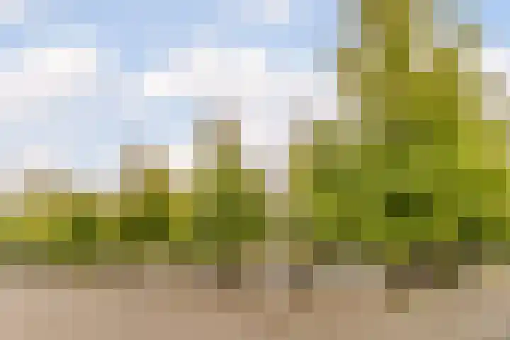 Europaplein 73 Dongen thumbnail 43