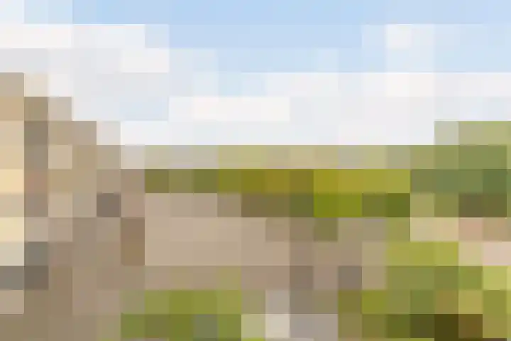Europaplein 73 Dongen thumbnail 44
