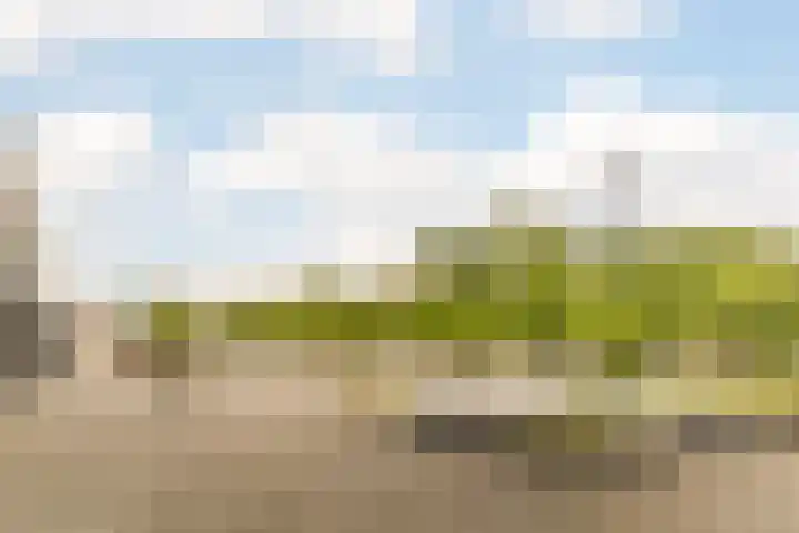 Europaplein 73 Dongen thumbnail 45