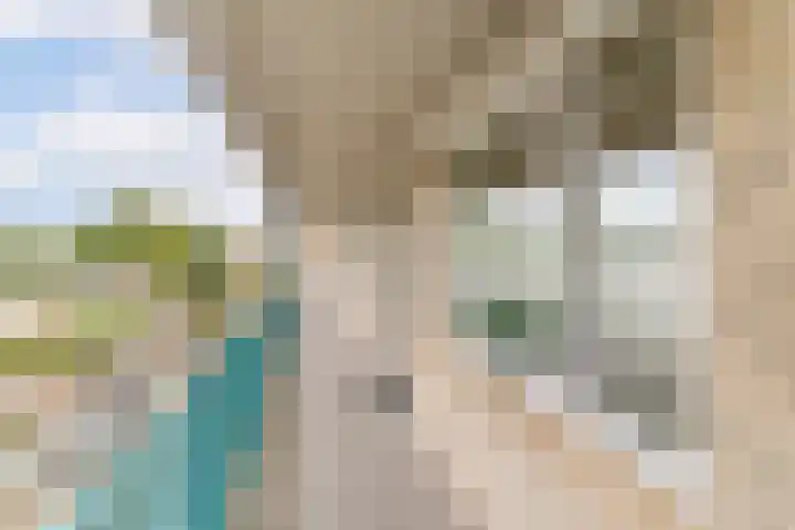 Europaplein 73 Dongen thumbnail 9