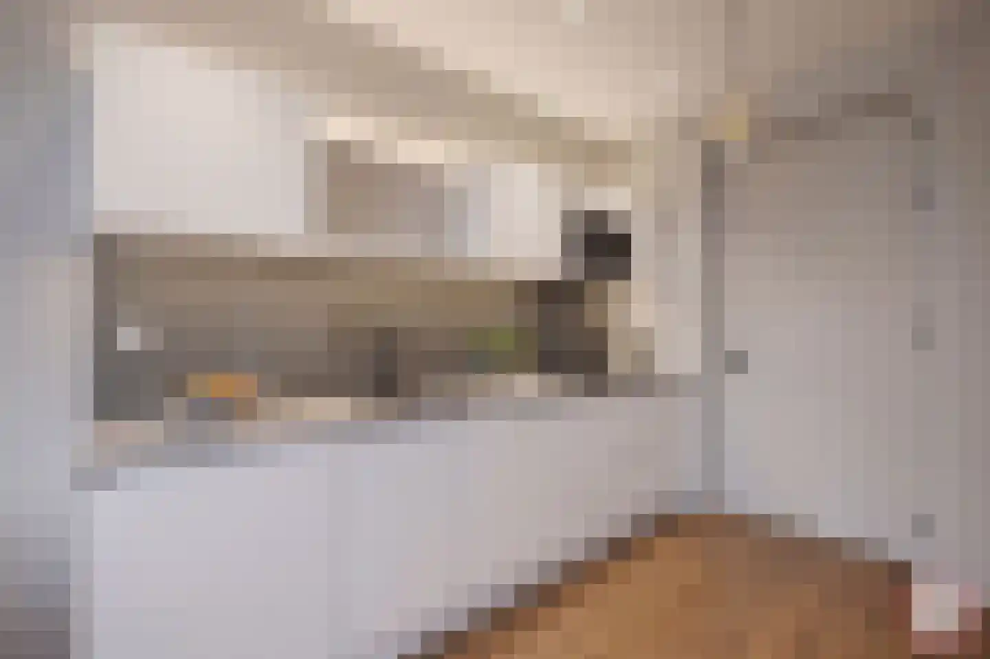 Europaplein 735 Utrecht thumbnail 5