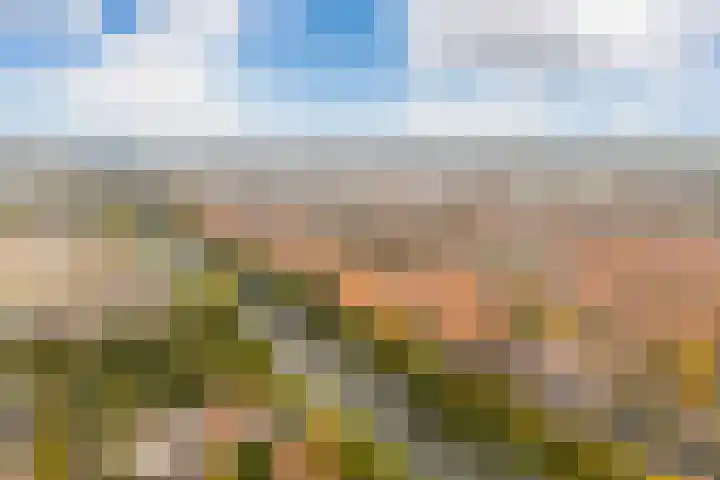 Europaplein 737 Utrecht thumbnail 20