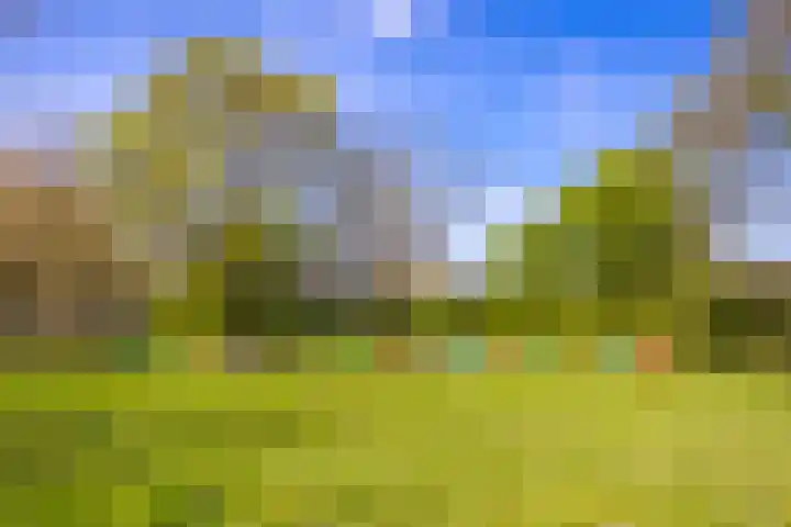 Europaplein 741 Utrecht thumbnail 26