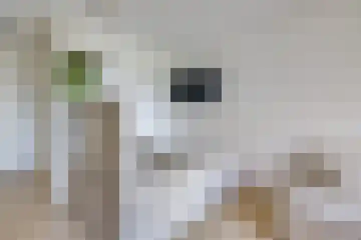 Europaplein 743 Utrecht thumbnail 16