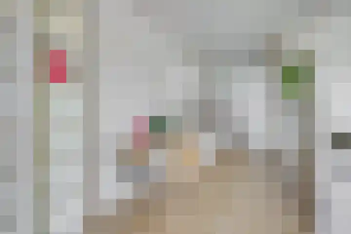 Europaplein 743 Utrecht thumbnail 18