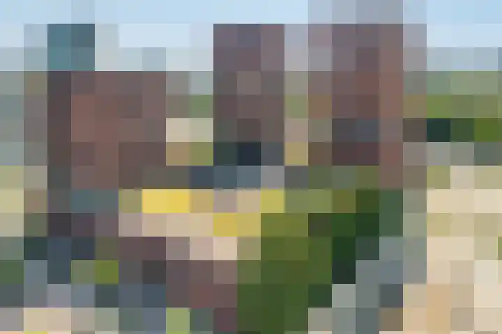 Europaplein 743 Utrecht thumbnail 25