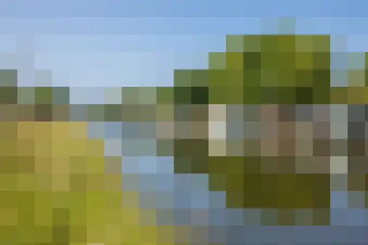 Europaplein 743 Utrecht thumbnail 30