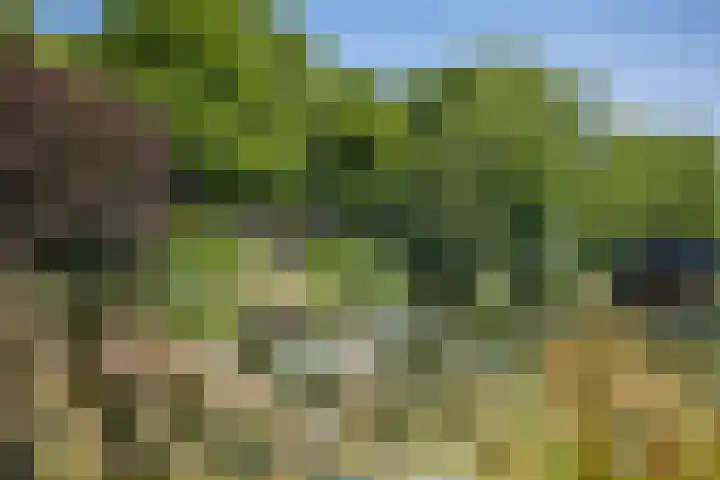 Europaplein 743 Utrecht thumbnail 31