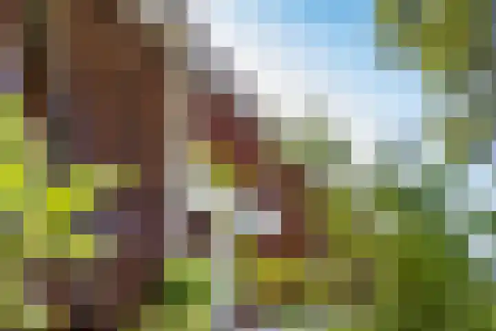 Europaplein 743 Utrecht thumbnail 32