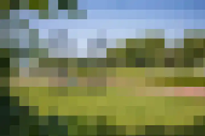 Europaplein 743 Utrecht thumbnail 33