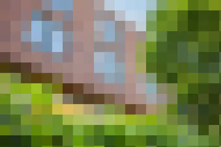 Europaplein 743 Utrecht thumbnail 37