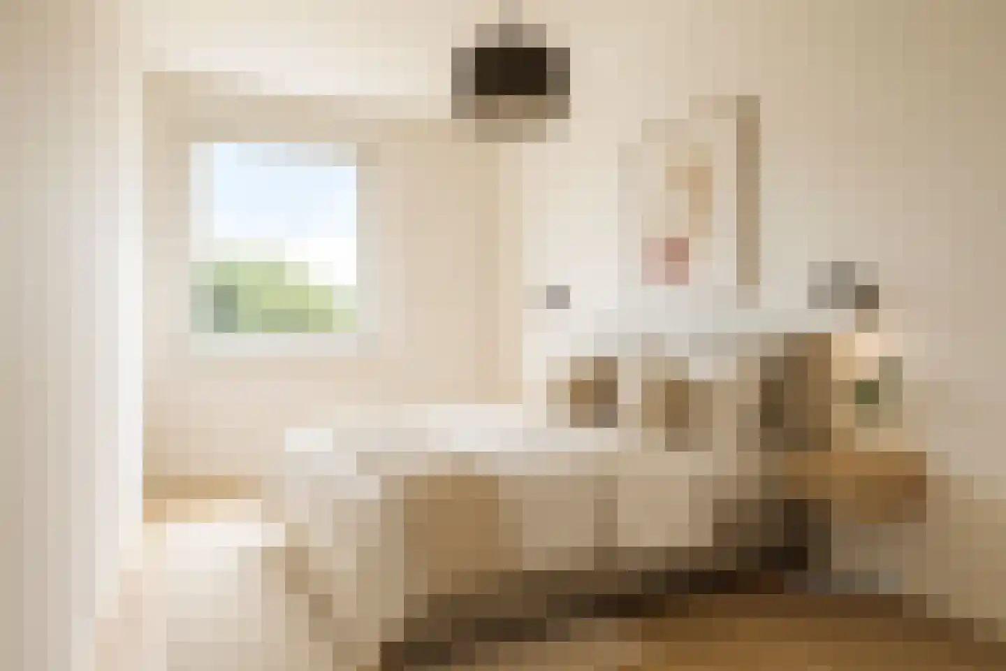 Europaplein 76 Dongen thumbnail 19