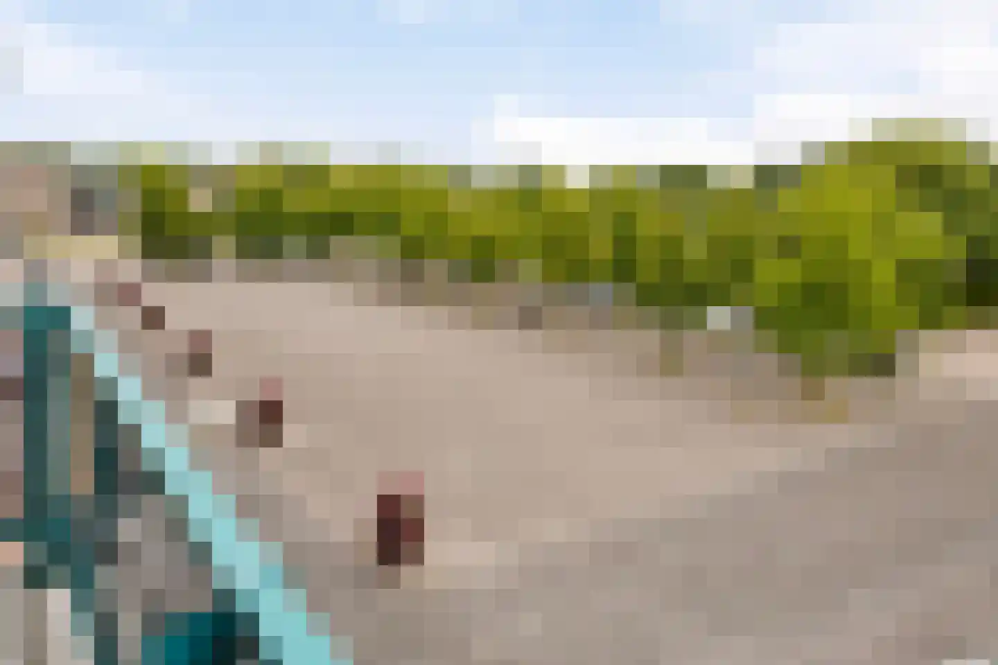 Europaplein 76 Dongen thumbnail 26