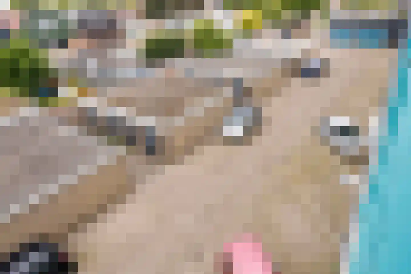 Europaplein 76 Dongen thumbnail 28