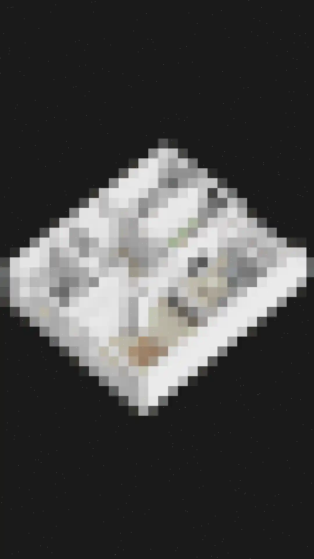 Europaplein 76 Dongen thumbnail 35