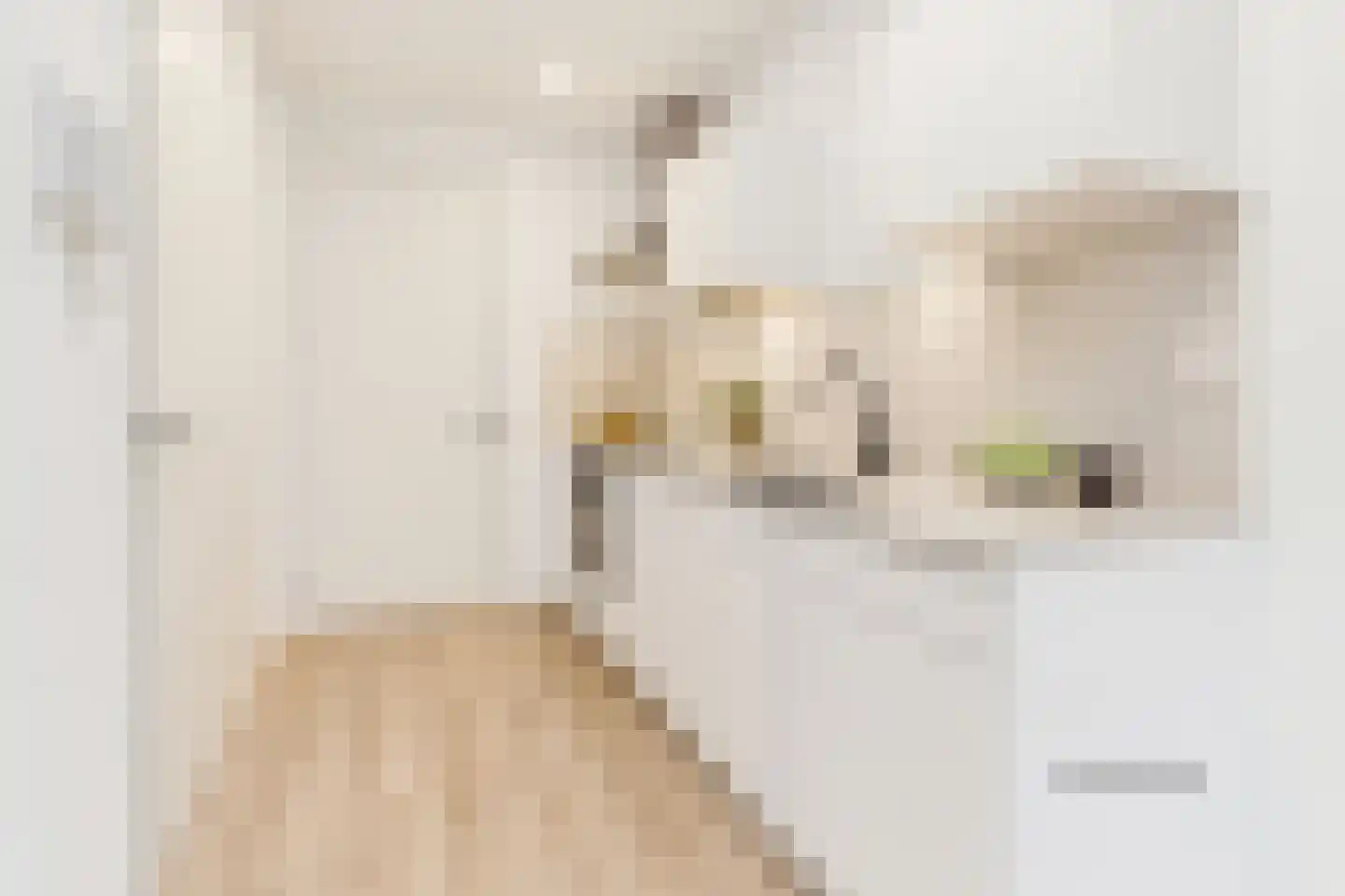 Europaplein 761 Utrecht thumbnail 8